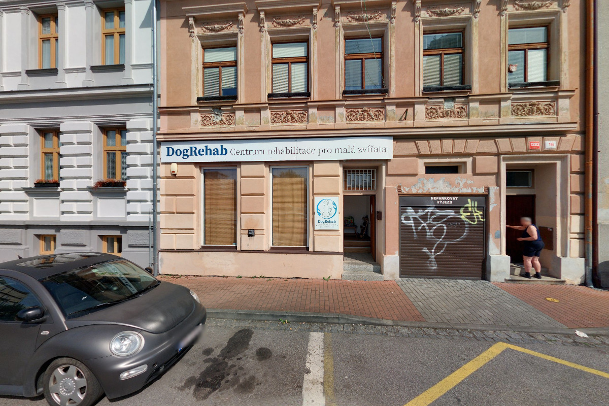 Živa studio