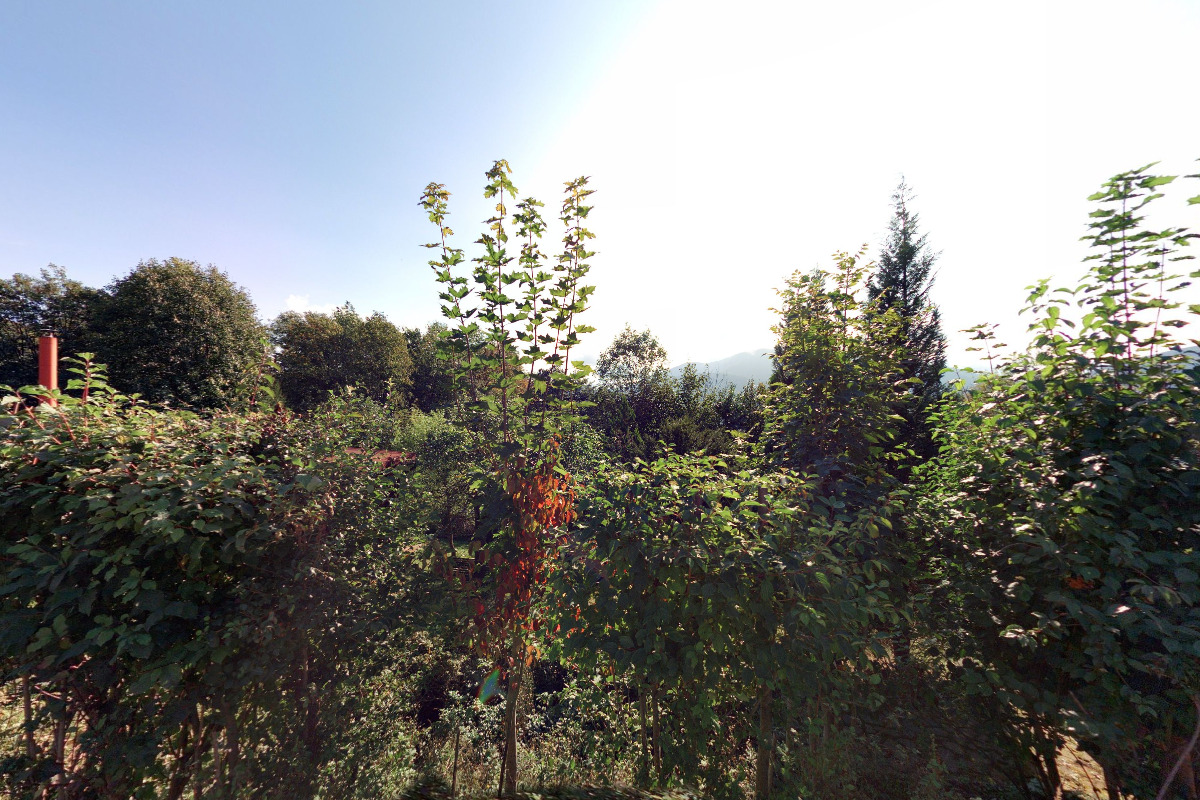 Horská Chata Čeladná