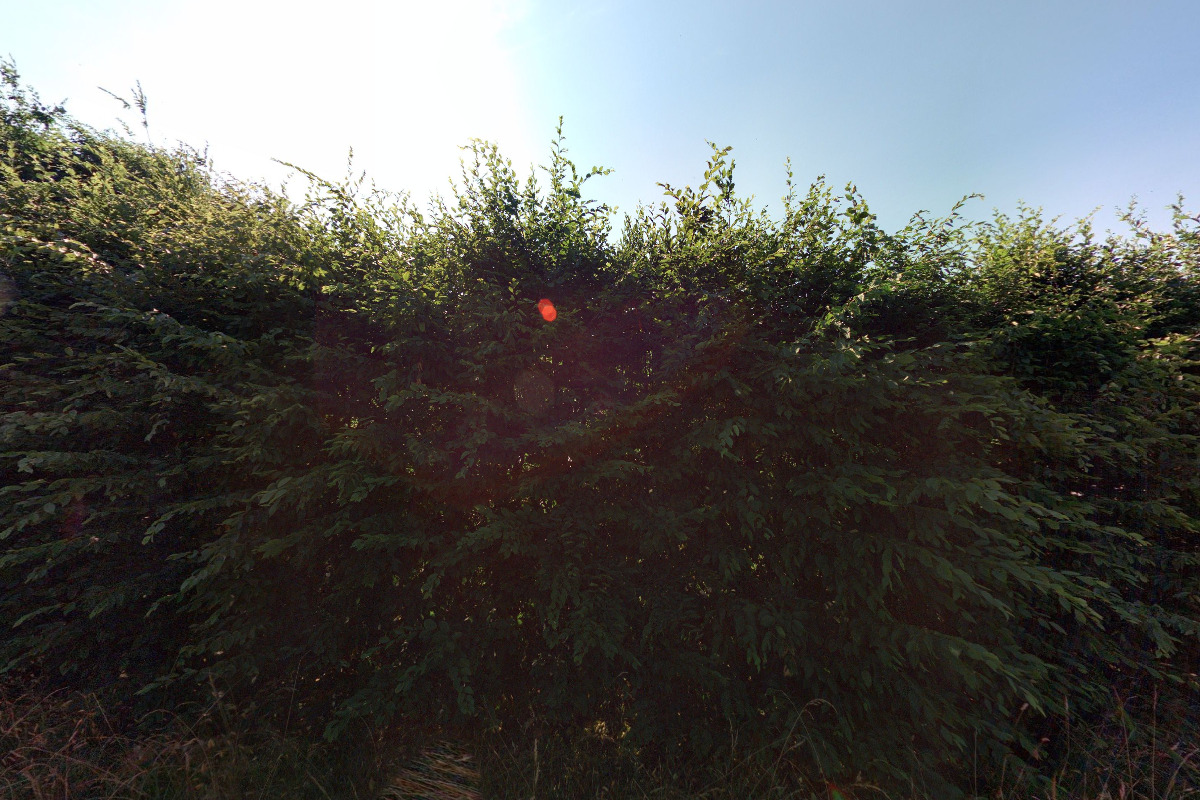 Ubytování Slezská Harta