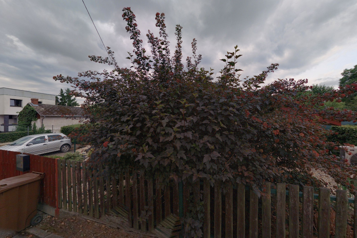 Stanislav Frýdel, SM Servis foto 2