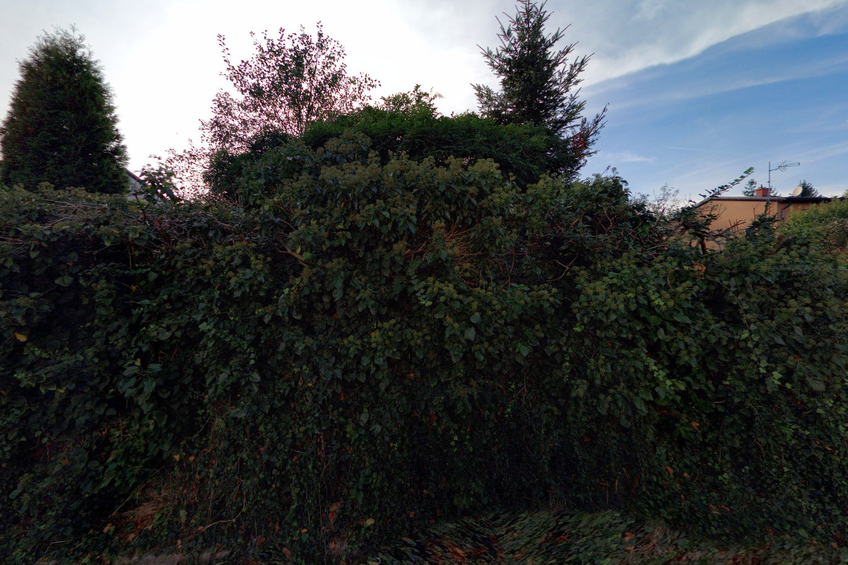 Radomír Liberda - zednické práce foto 2