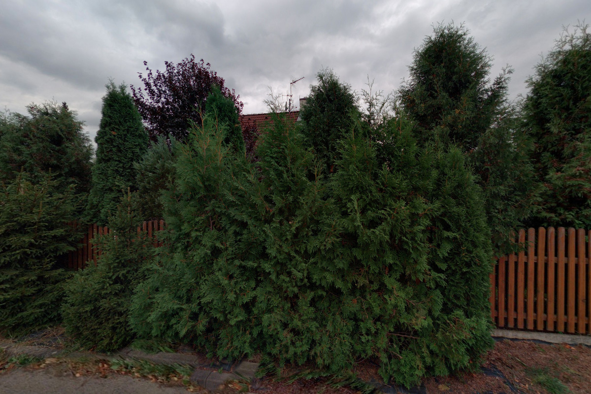 Ing. Zdeněk Bajer foto 1