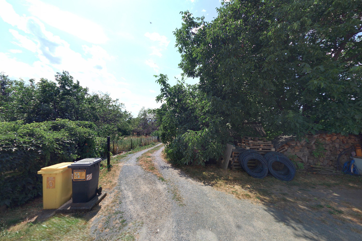 Rain Fox - Robert Liška