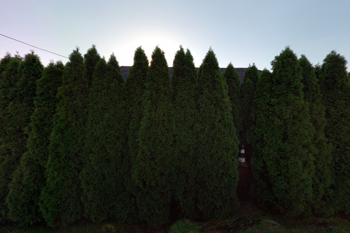 Ing. Renáta Makovcová foto 1