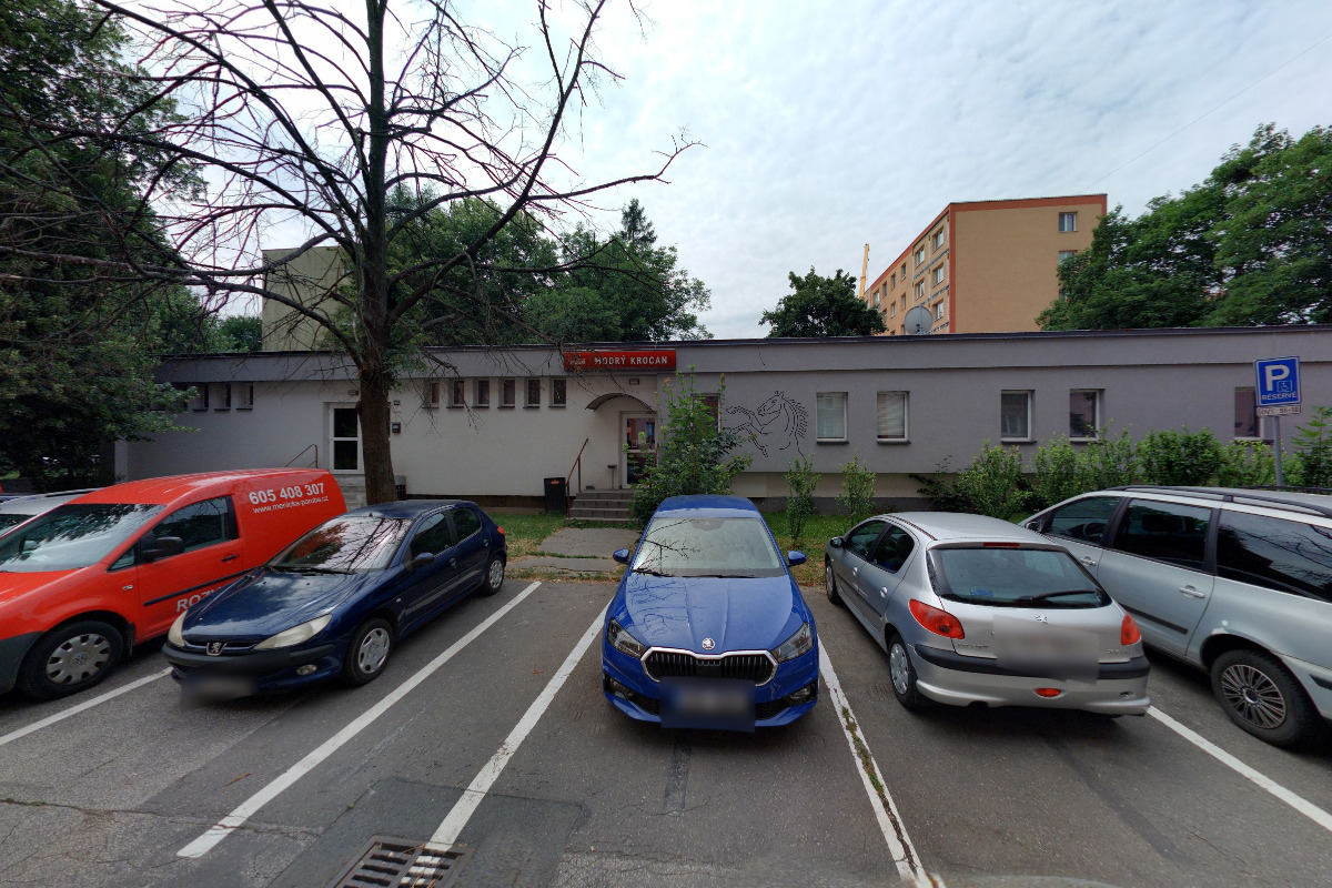 Modrý krocan foto 6