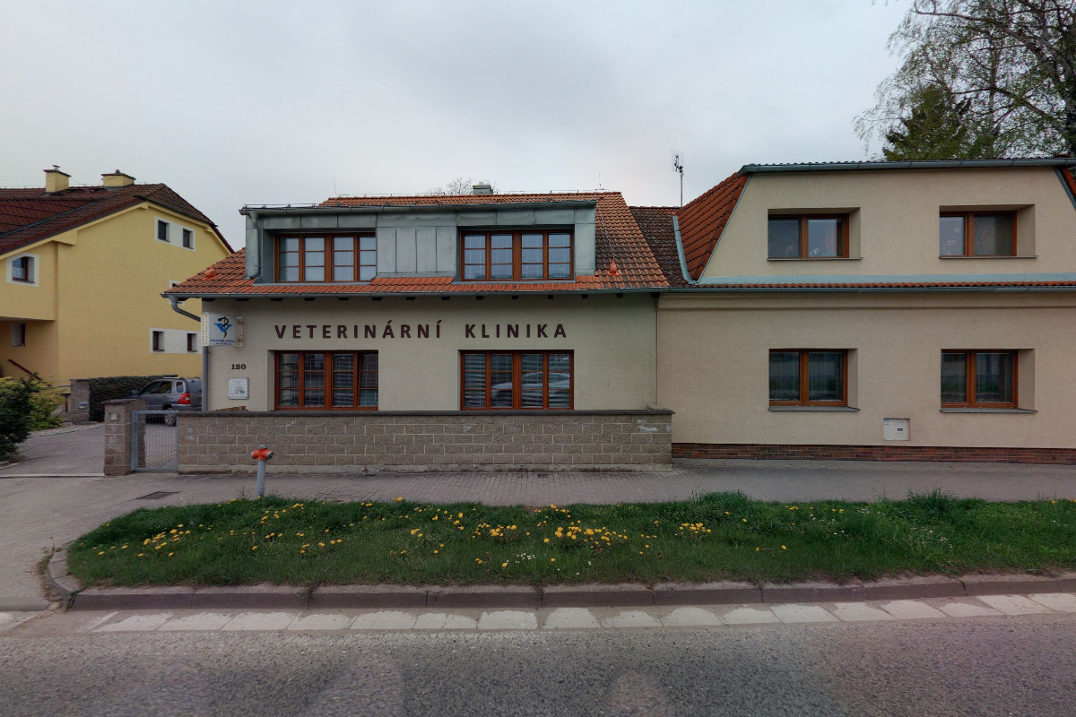 Klinika Veterina u kostela s.r.o. foto 5