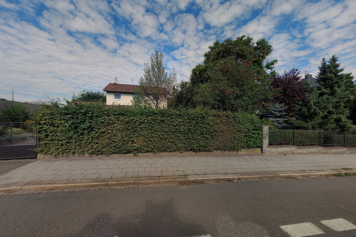 MgA. David Schaumann