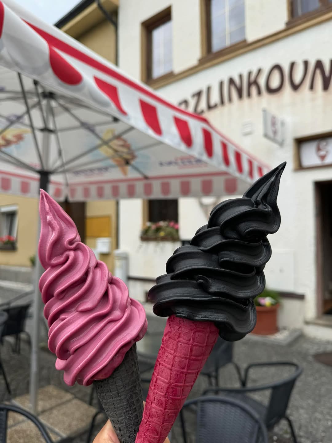 Zmrzlinkovna foto 2
