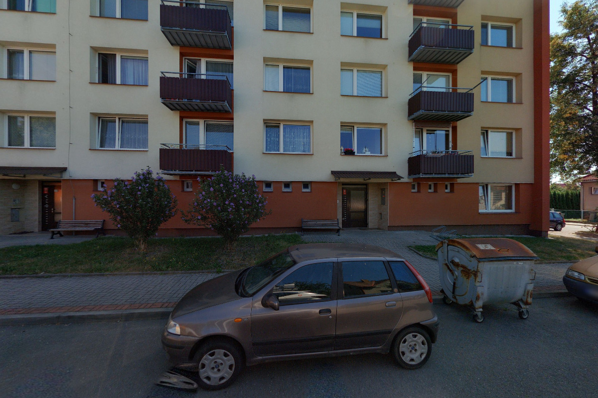 Poradenství v oblasti bezpečnosti František Fric