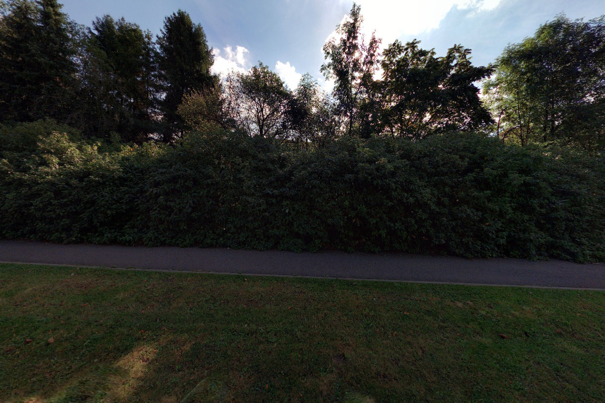 GOODWILL - vyšší odborná škola foto 5