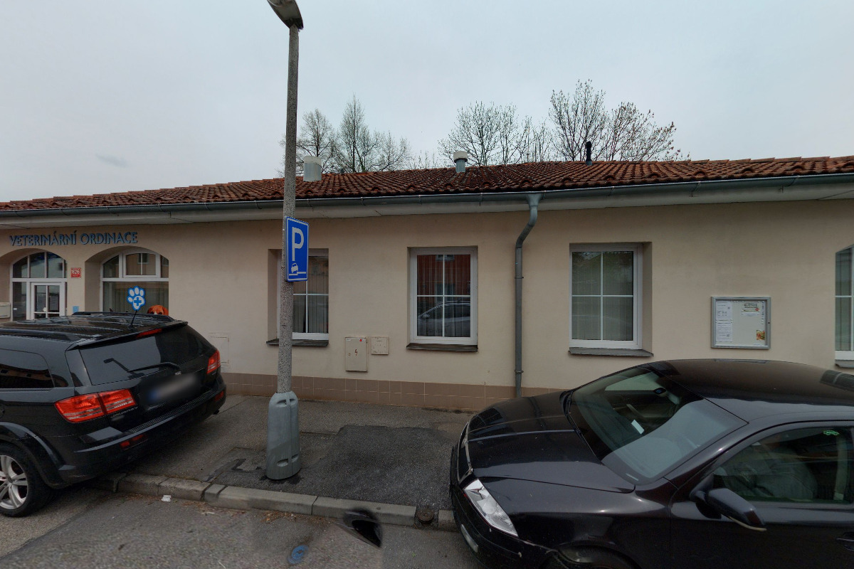 Veterinární ordinace Mladé, Klinika U Výstaviště foto 2