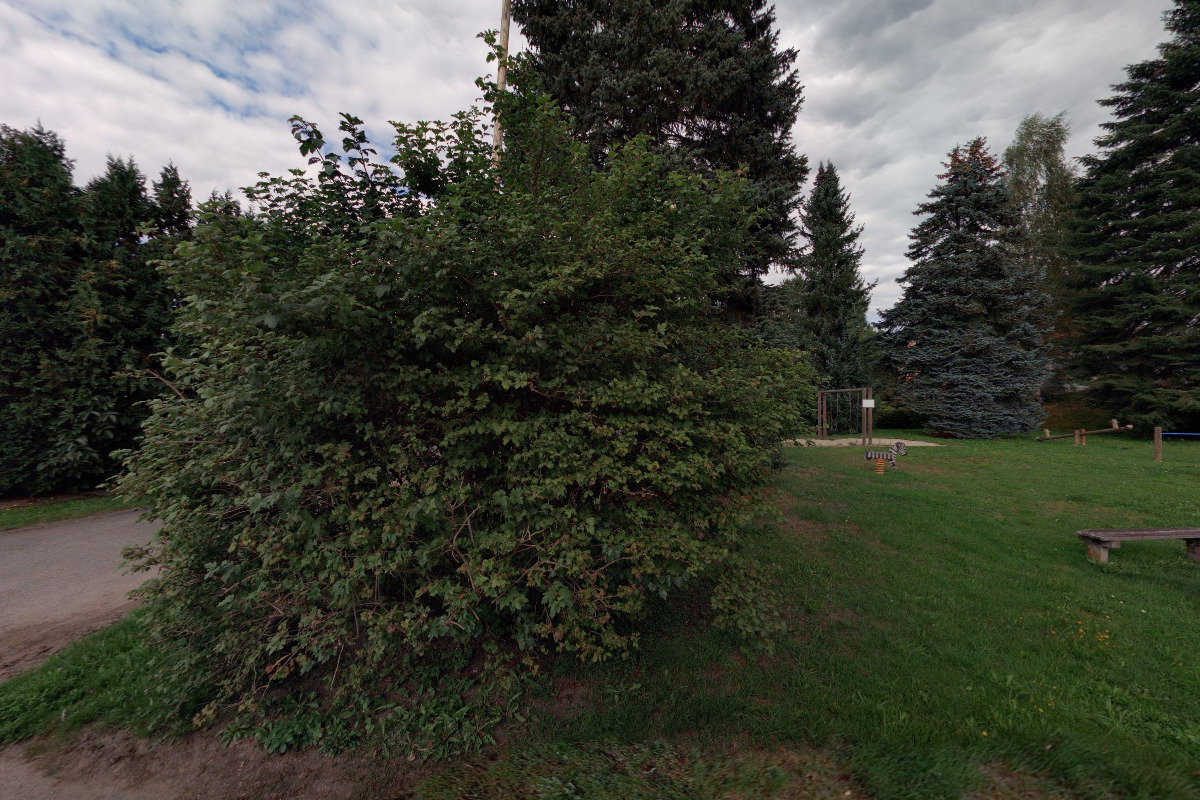 Místní knihovna Brandlín foto 2