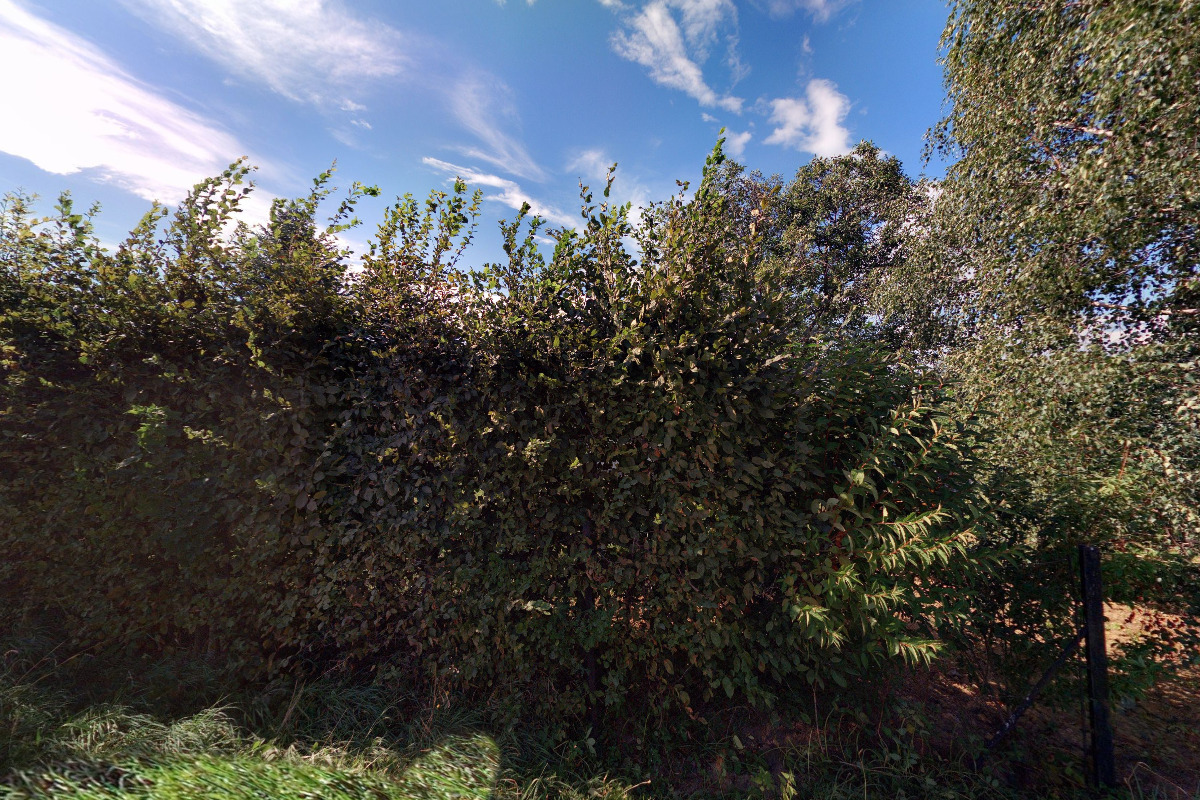 Tomáš Metz - účetnictví foto 1