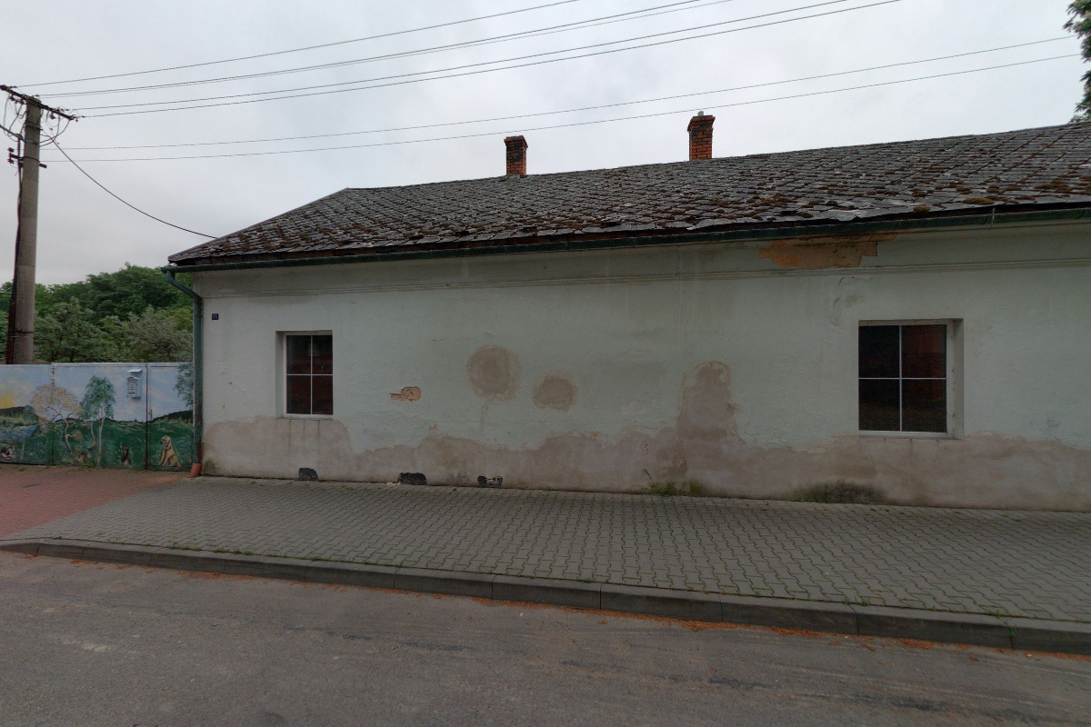 Kočičky u Niky