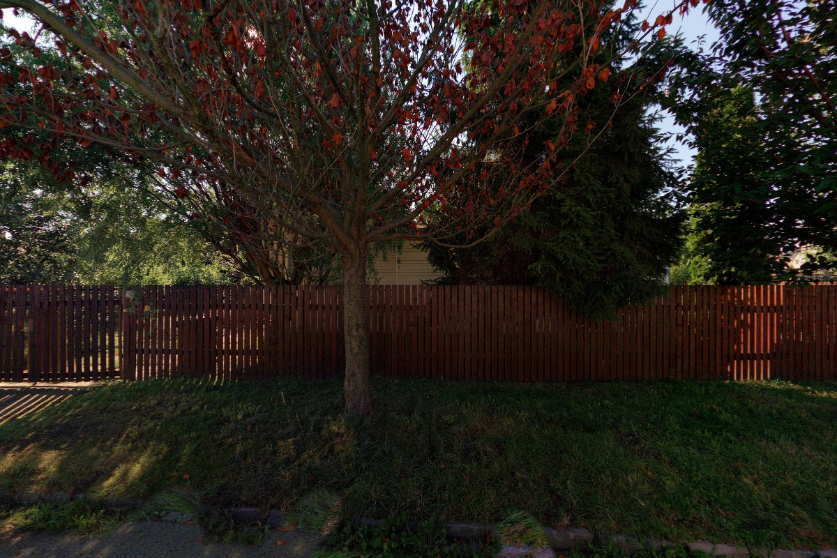 Monika Tůmová - PĚSTÍRNA FRONTOSA foto 2