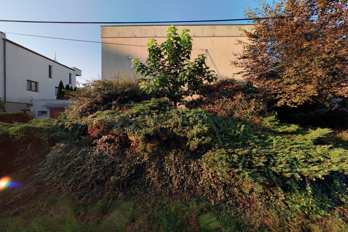 JUDr. Eva Fajtlová, advokátka