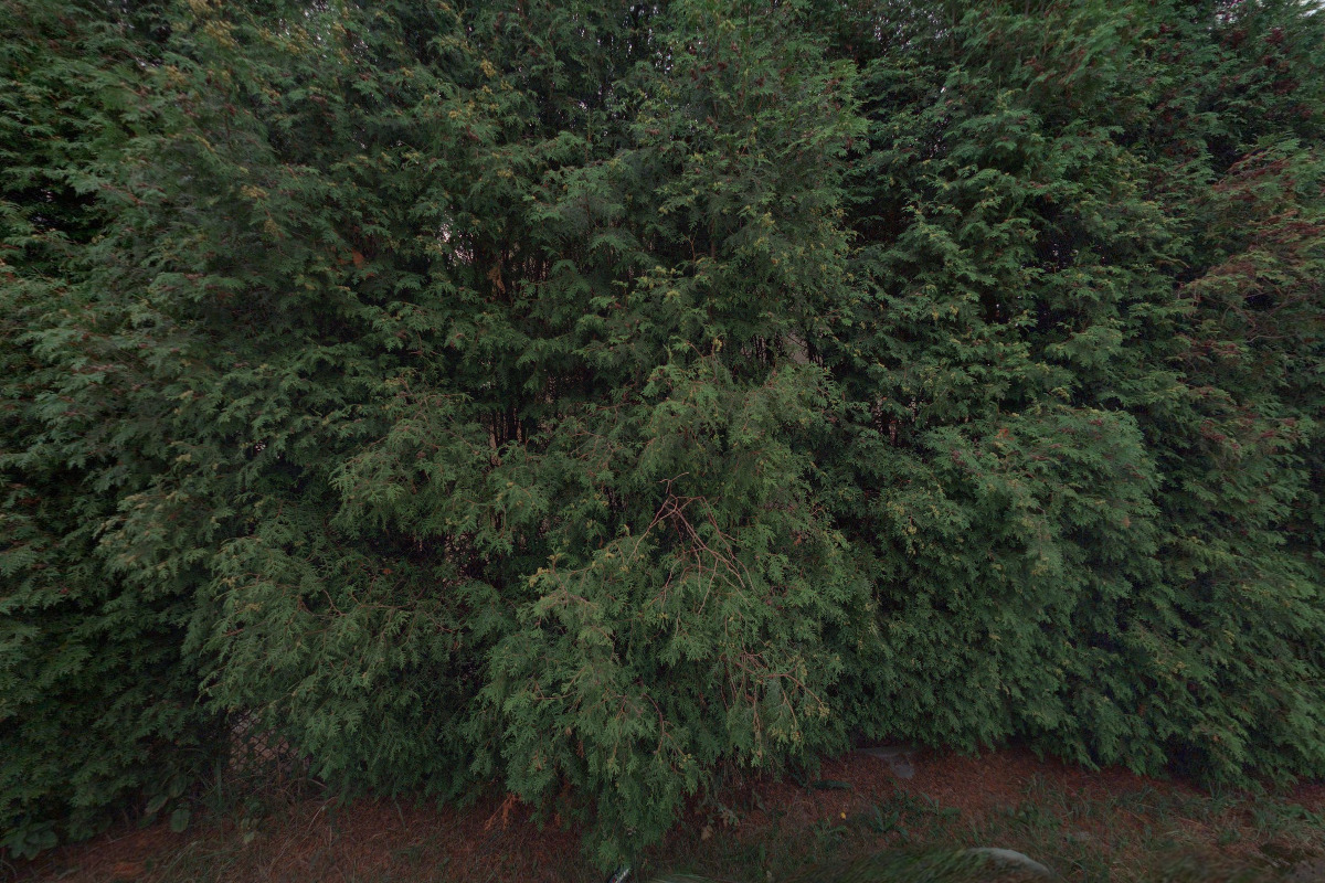 ARTSUN chytré získání energie foto 1