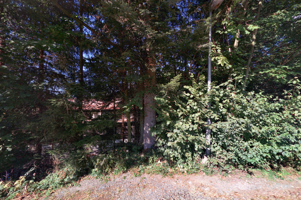 Lesní mateřská škola Hnízdo