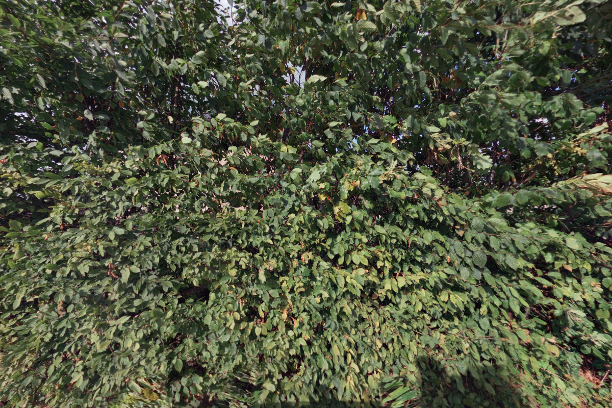 Happybarefeet.cz foto 2