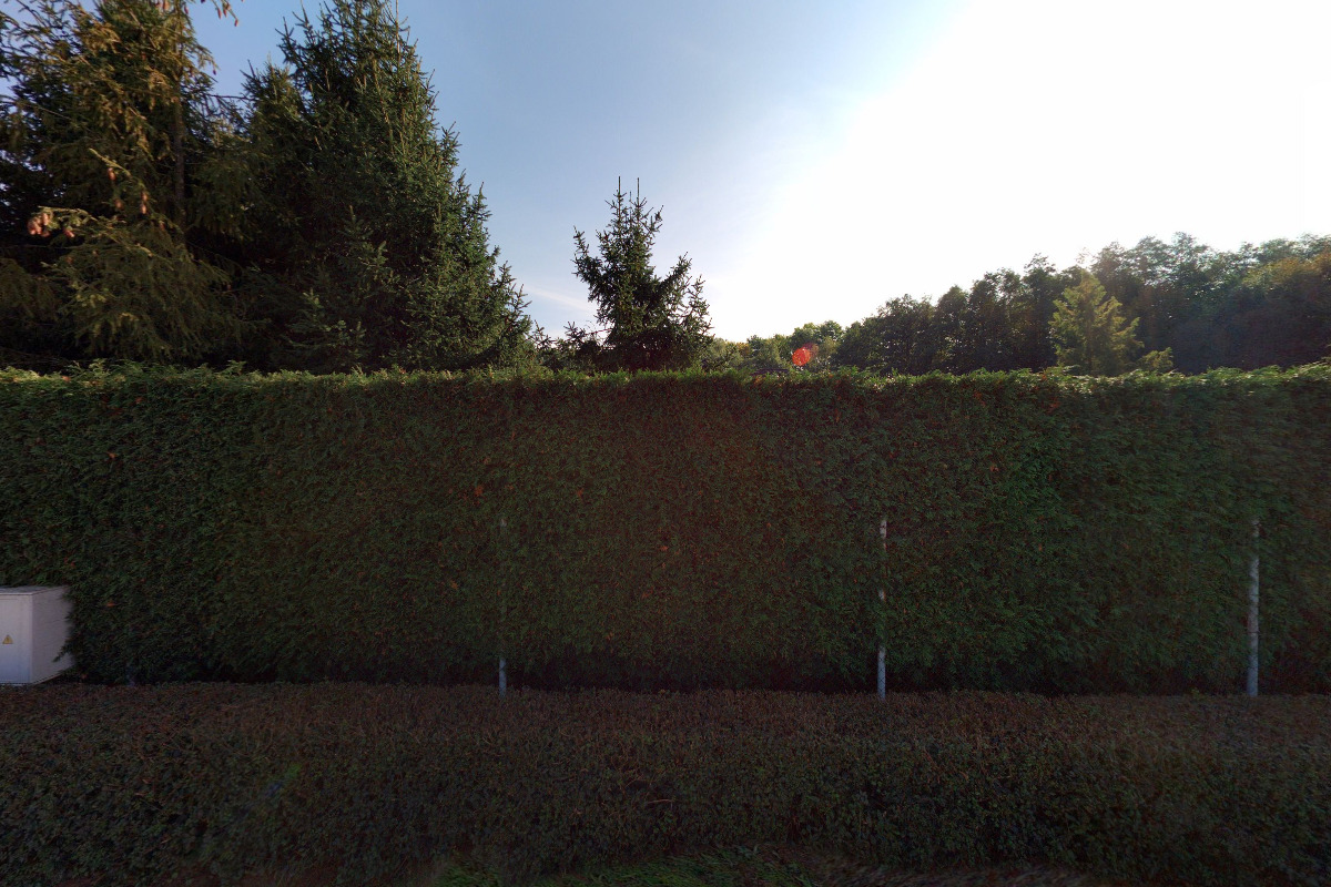 Ciz-regulace.cz foto 5