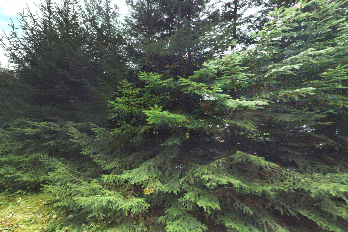 Rekreace na MENDELU foto 3