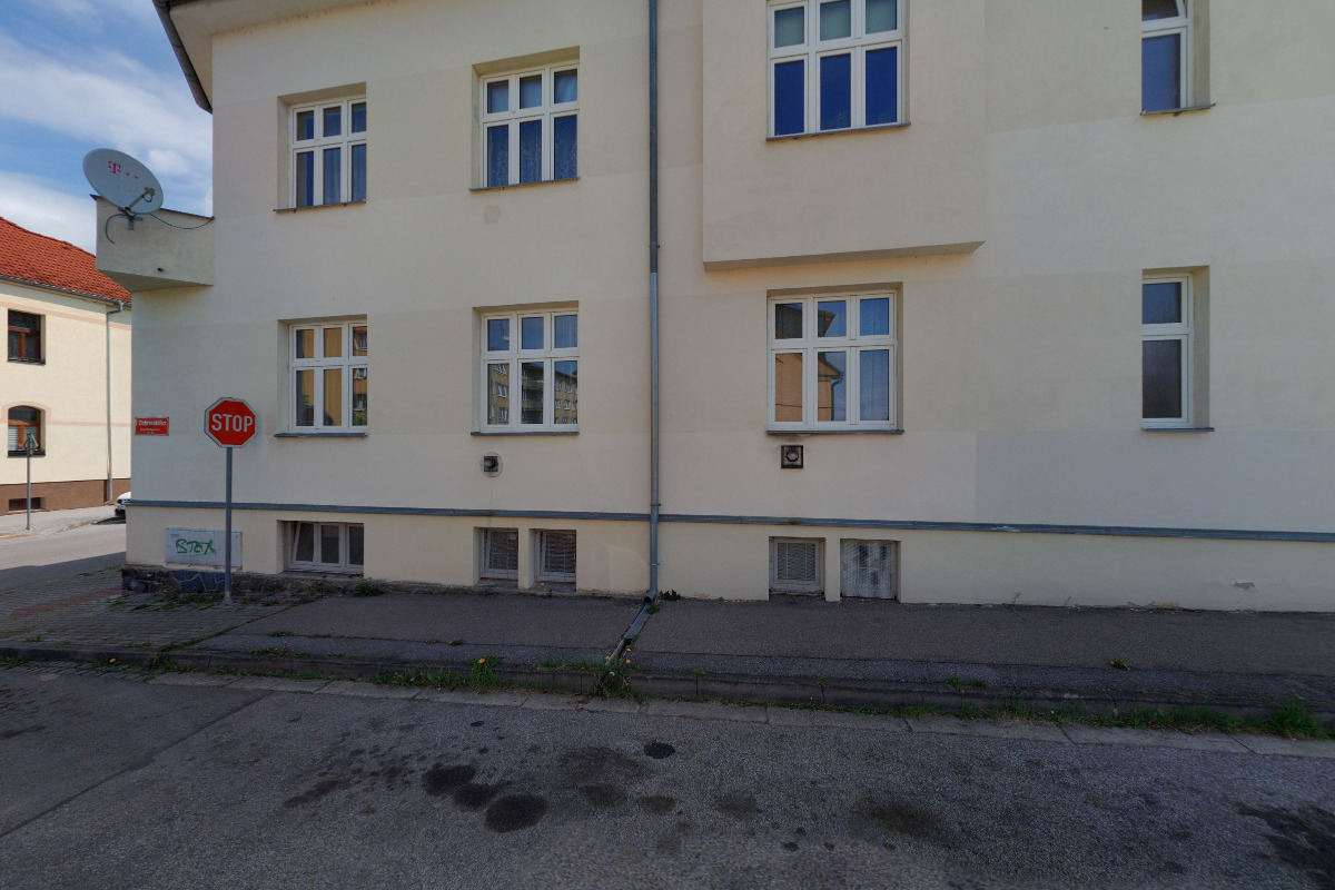 Ivana Hlaváčová - psí salon foto 3