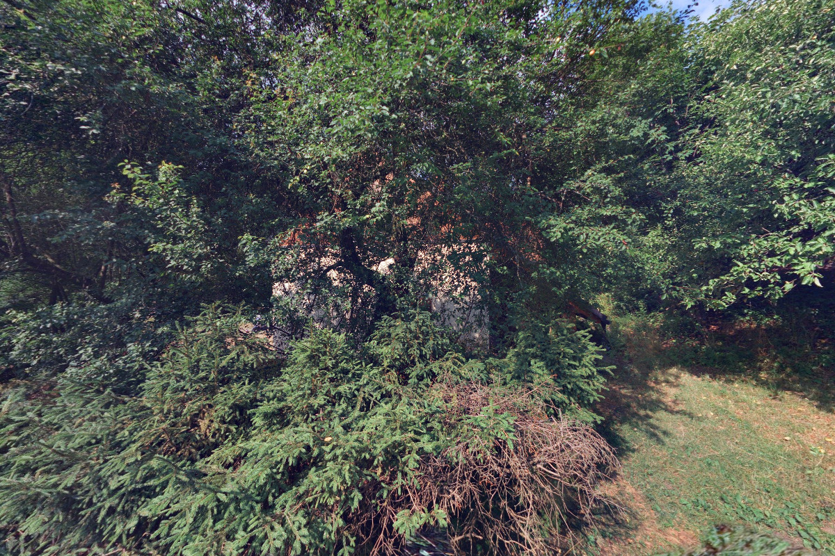 Skautská chata - Severní hvězda foto 5