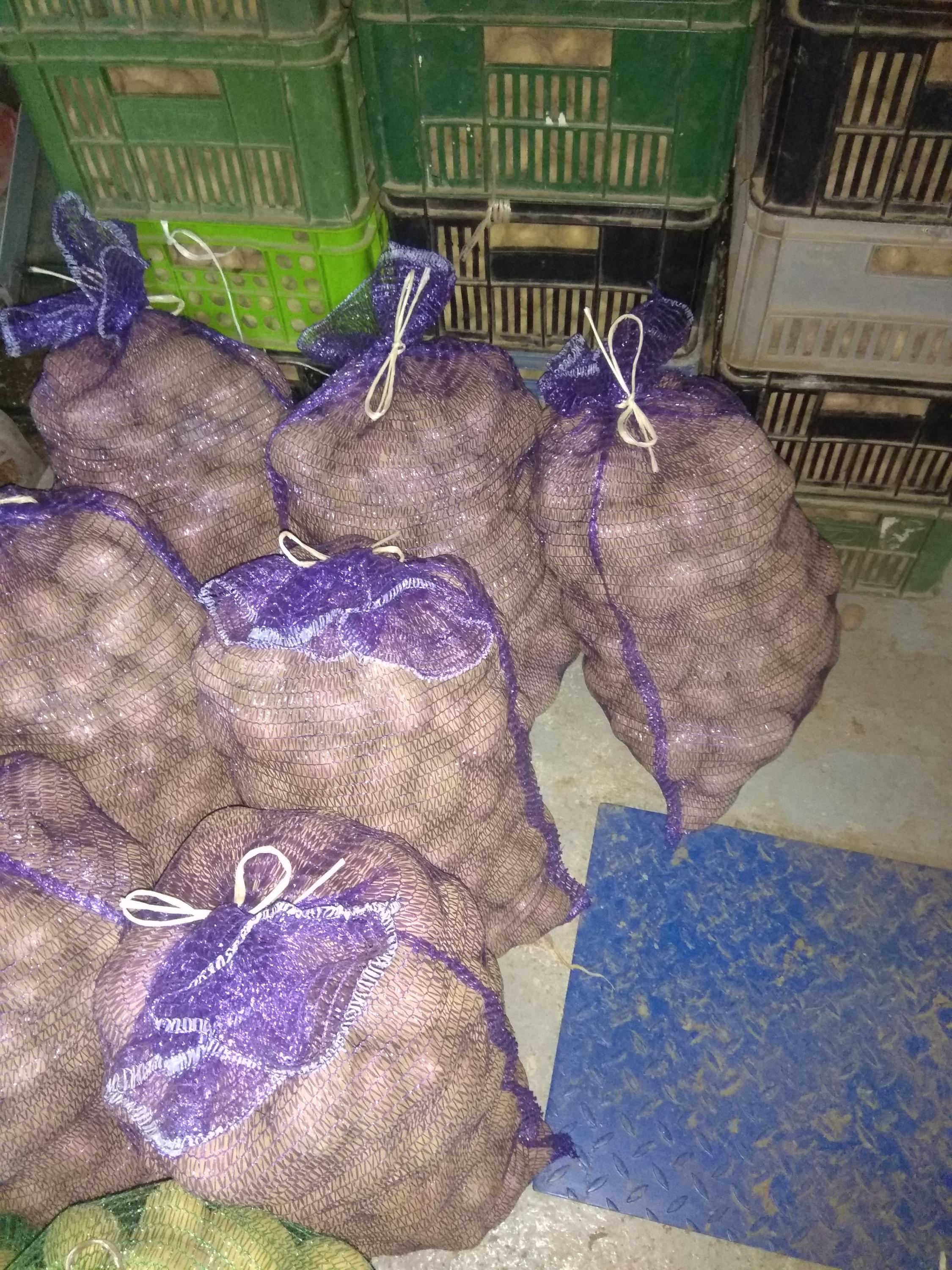 Prodej brambor a cibule Kateřina Pucková foto 1