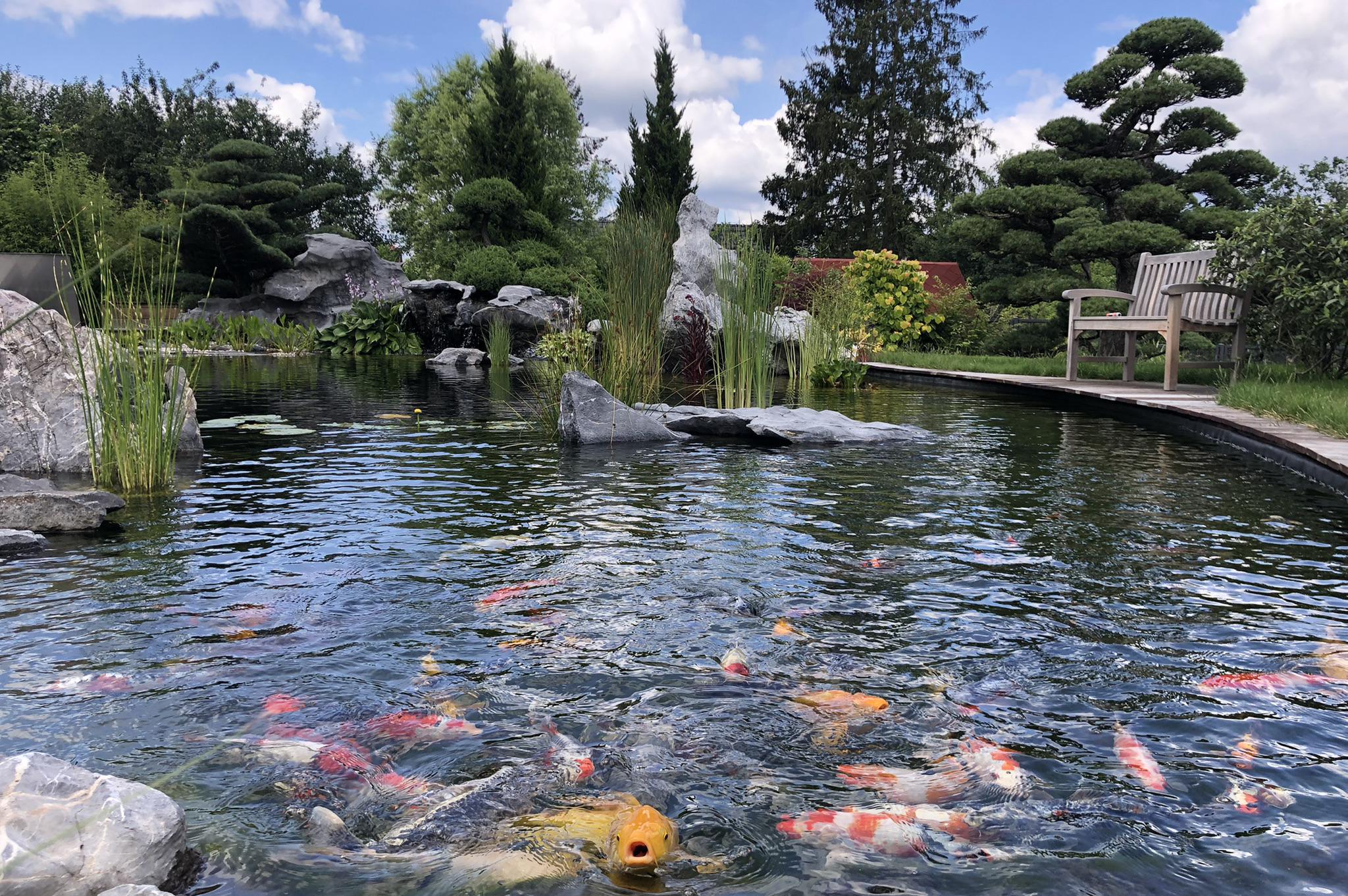 AQUATICA KOI CENTRUM