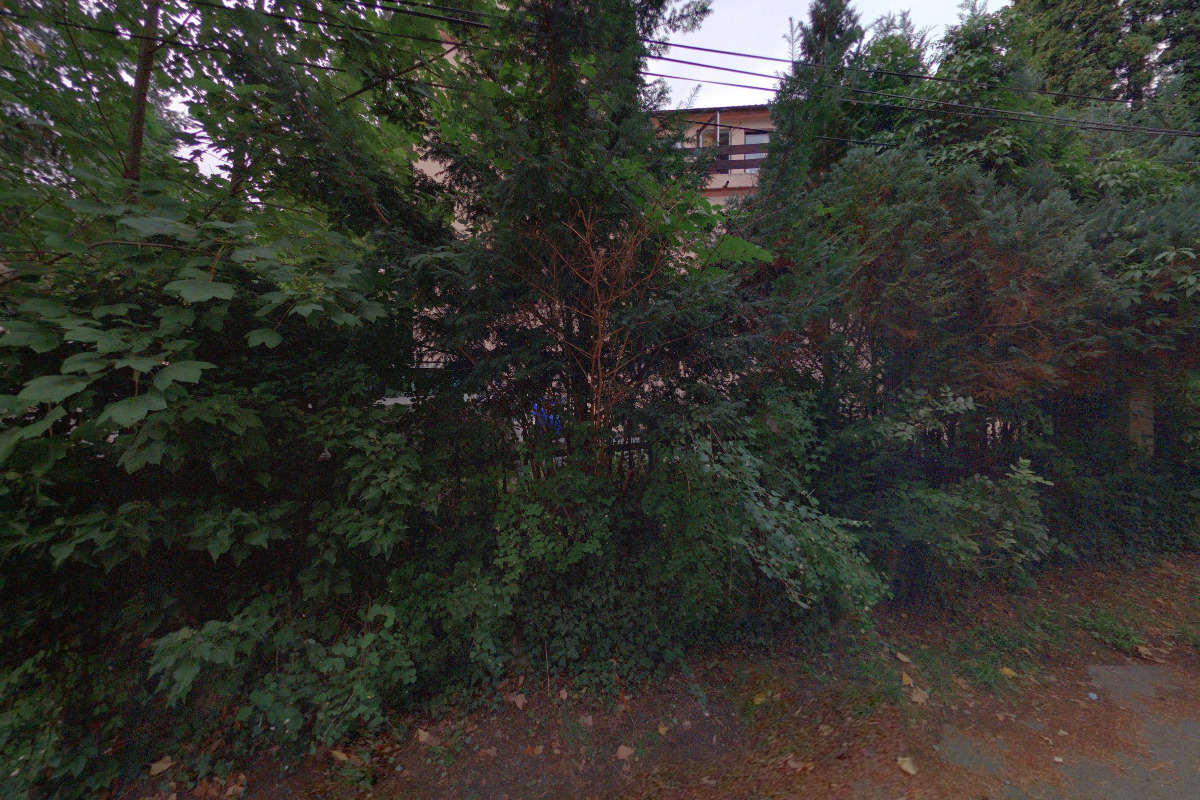 Nekorporát Social, s.r.o.