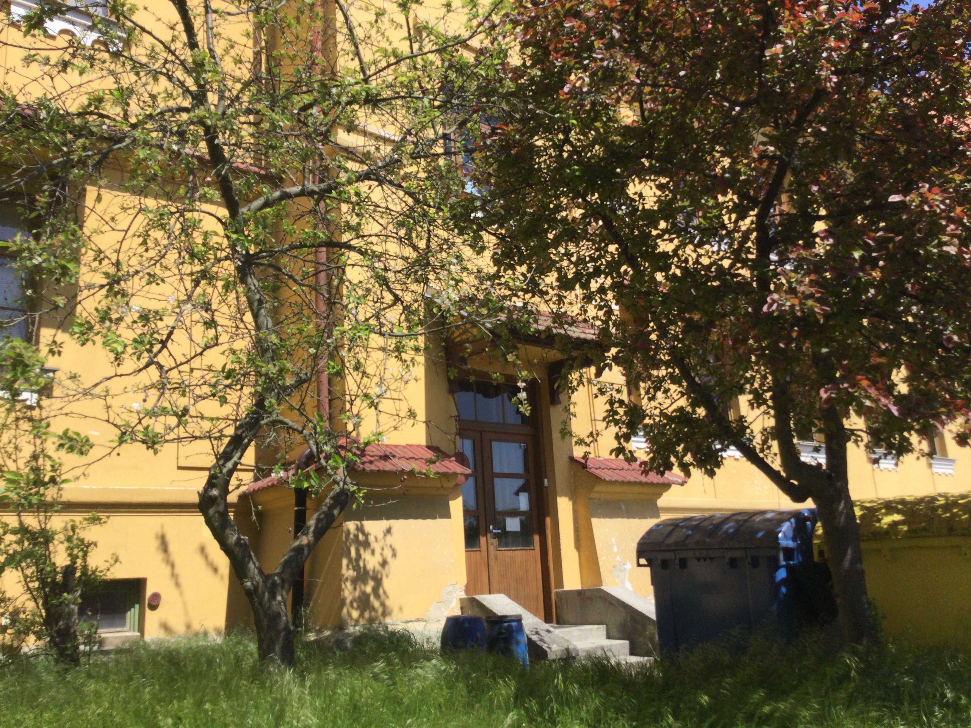 Základní škola Five Star Montessori, s.r.o. foto 2