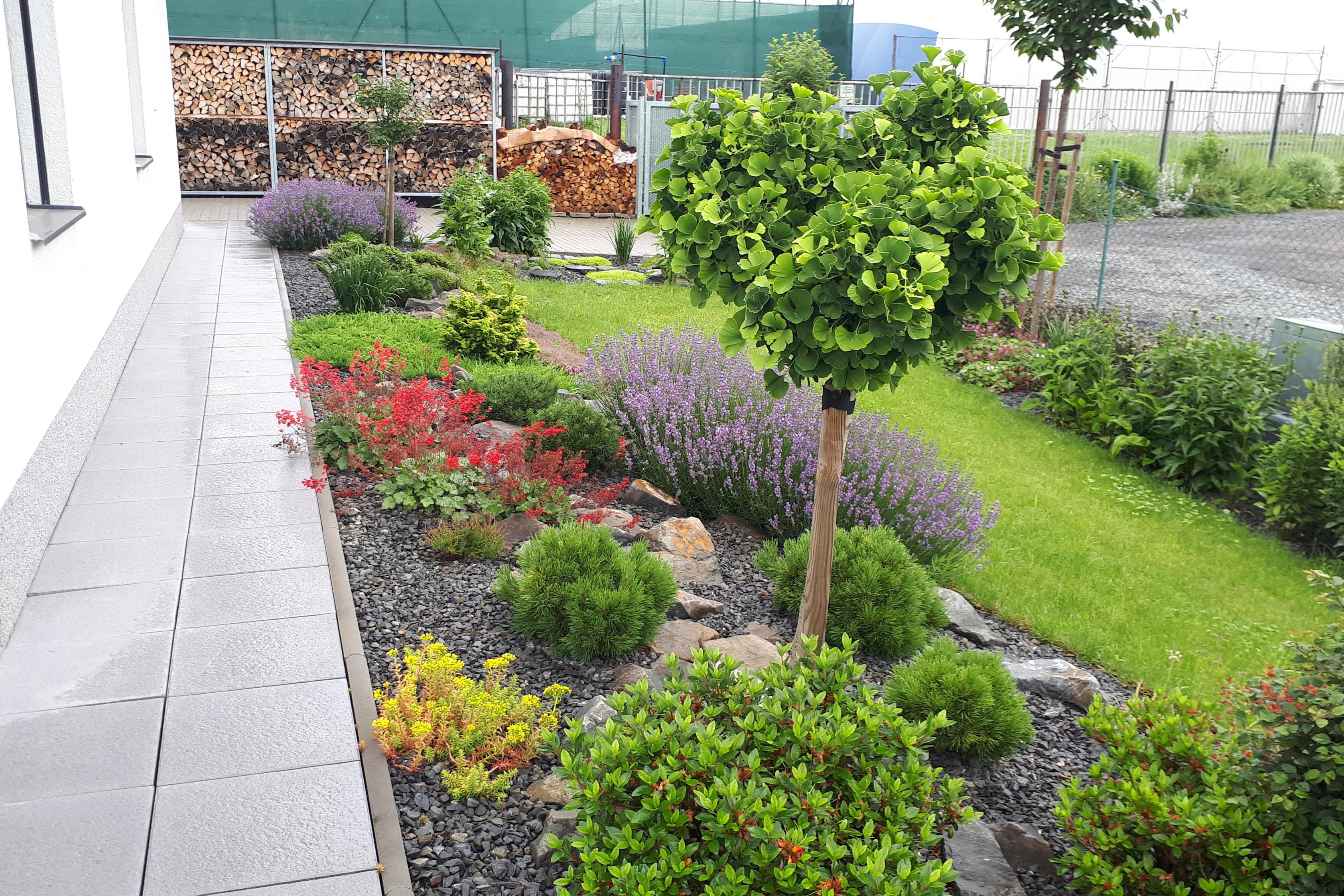 Realizace a údržba zahrad Martin Míček, DiS.