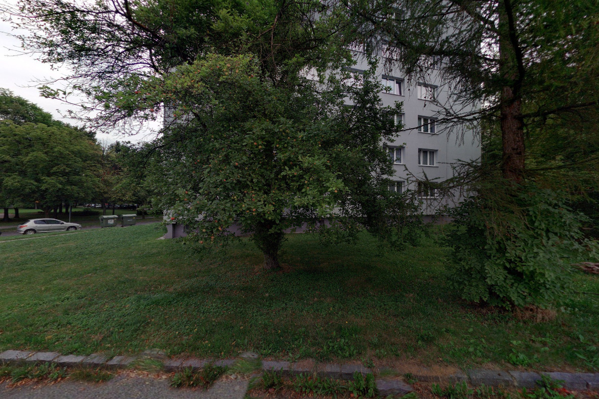 Žirafa - dětská obuv foto 5