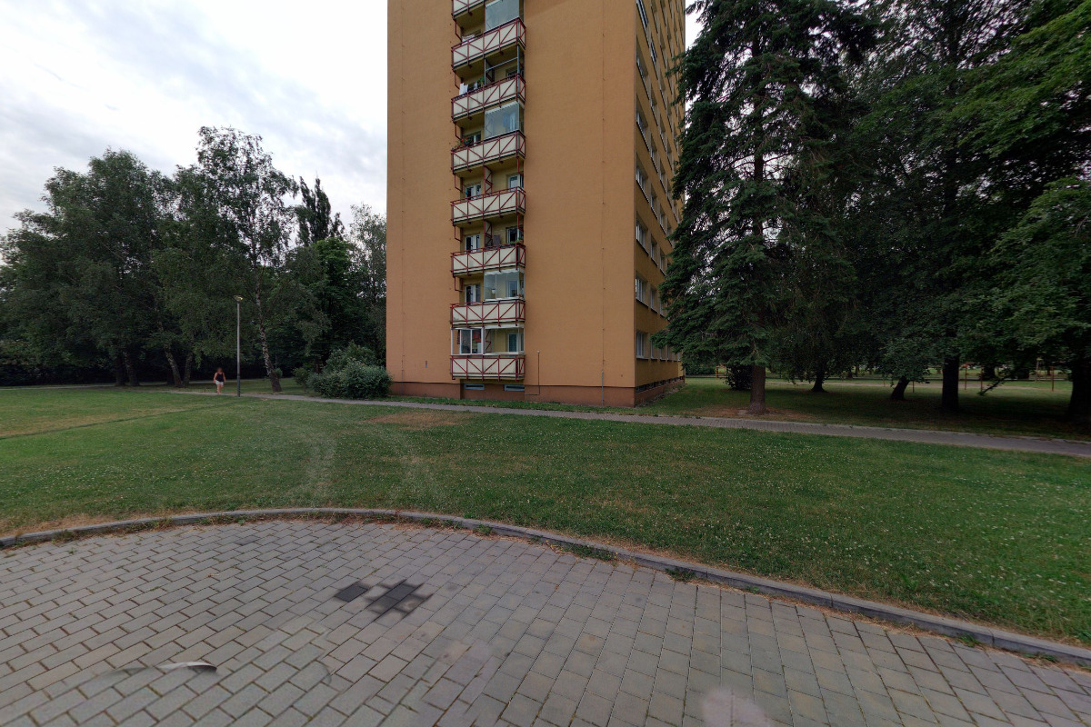 Radovan Vlk
