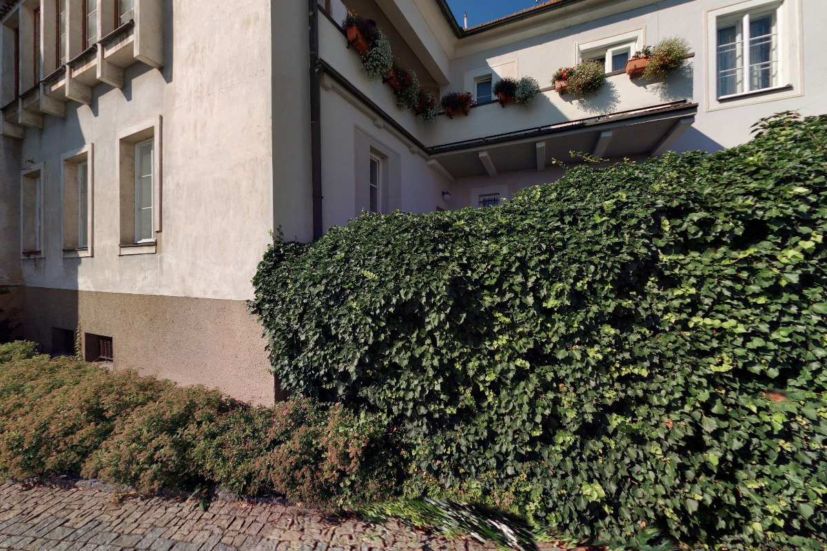 Vinotéka a galerie U Černého kocoura a zeleného stromu foto 2