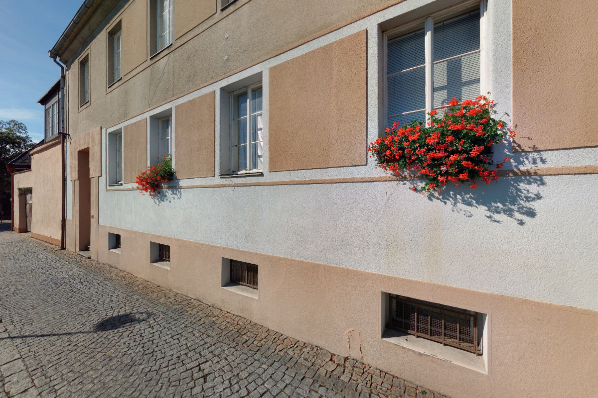 U Černého kocoura a zeleného stromu