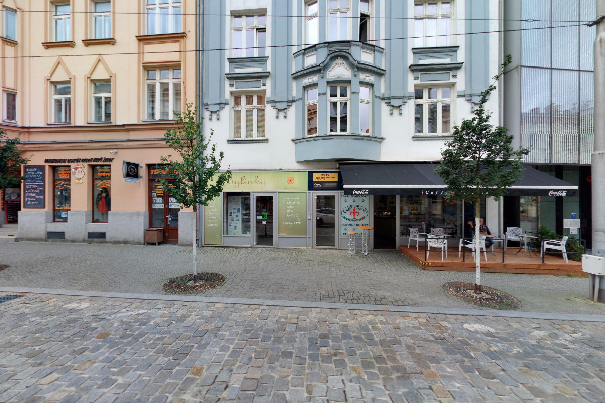 Bylinky Ludmila Pavlíková foto 5