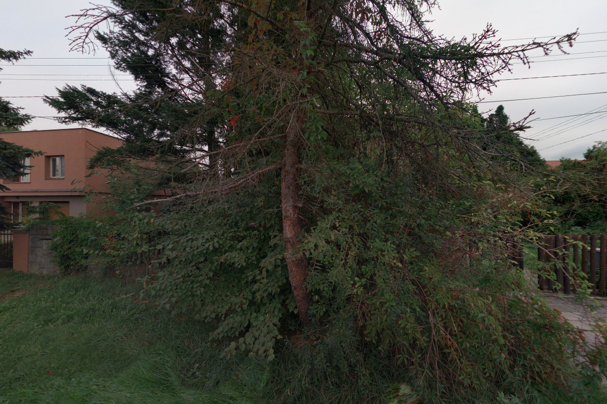 Forfans šály - Jiří Jančařík