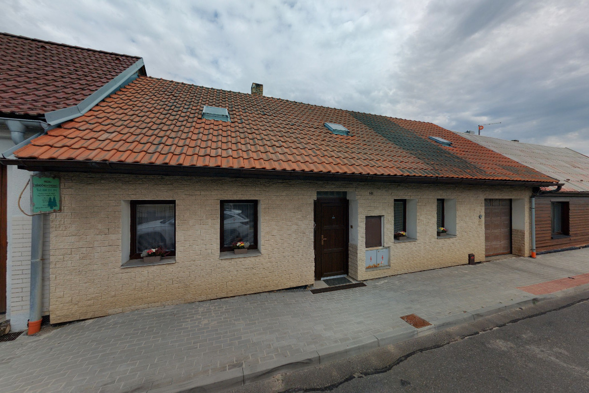 Vánoční stromky - Petr Vácha