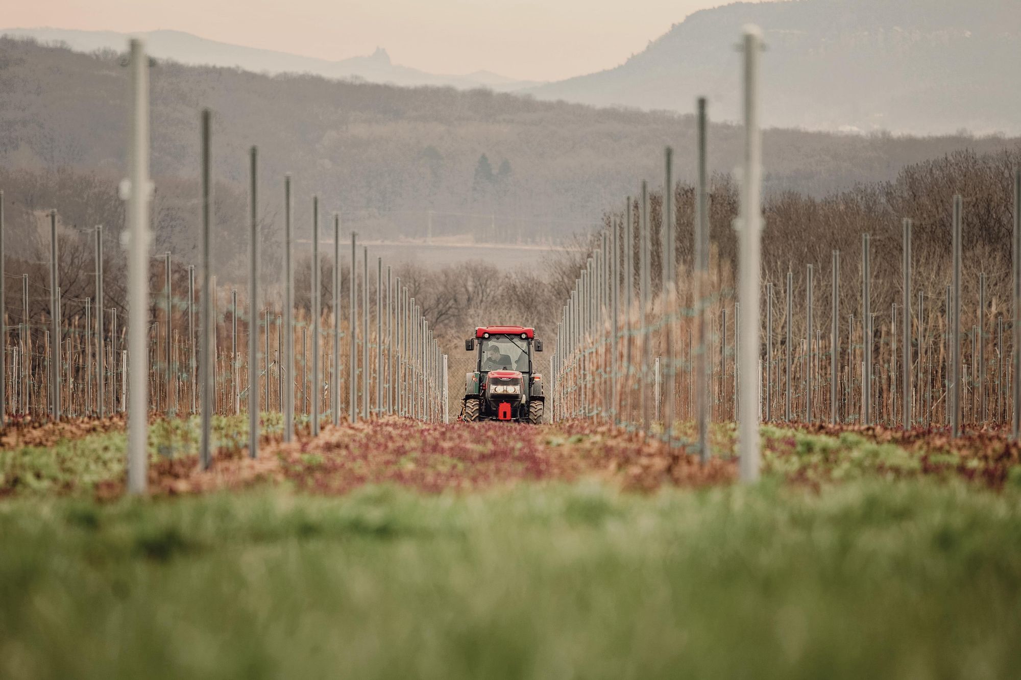 Vinařství u Českého ráje foto 2