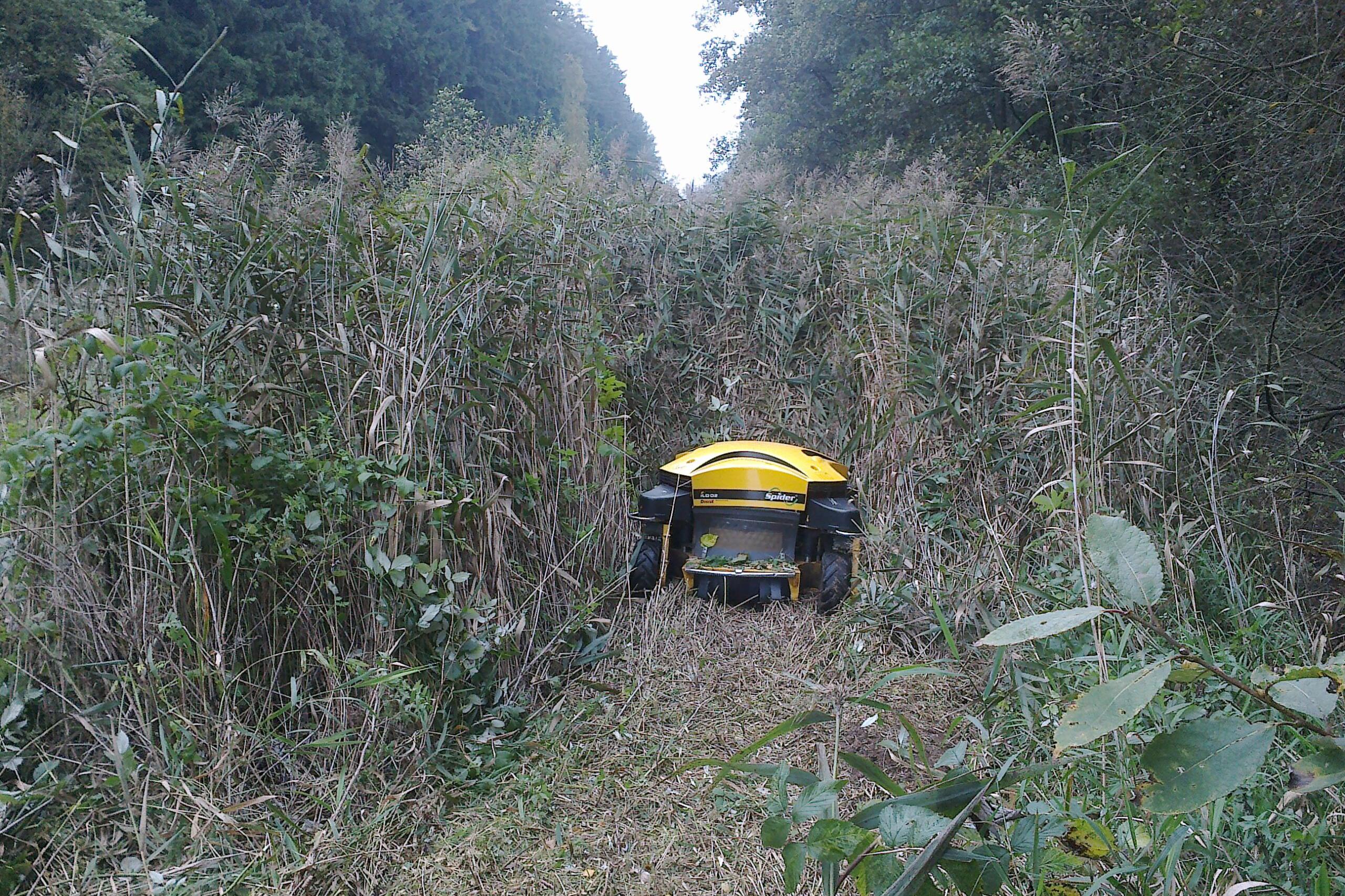 Sekání a údržba trávy, poradenství, komplexní služby