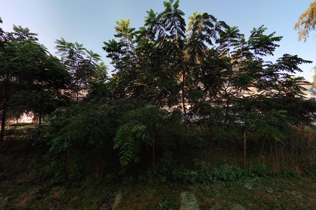 Mgr. Dalibor Socha foto 1