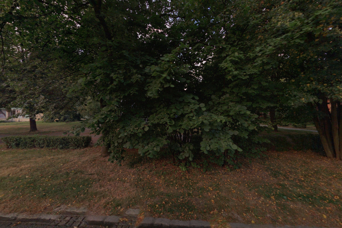 Radegastovna Aura foto 6