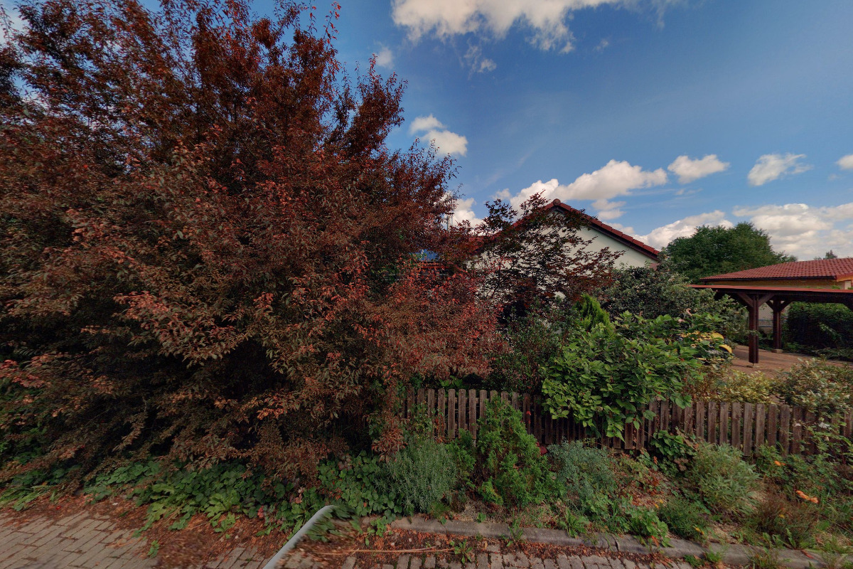 Samouzdravení - Ing. Adriána Kašparová foto 5