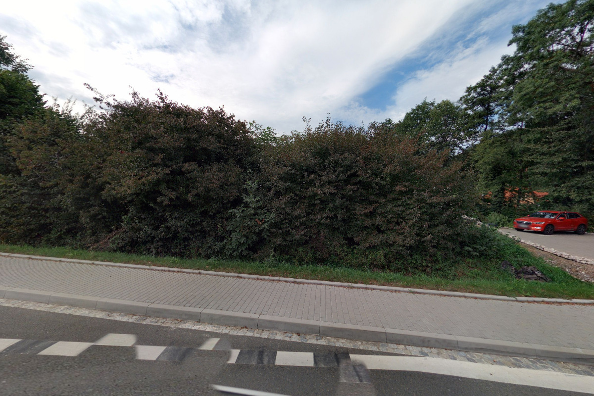 Soukromá mateřská škola Veselá opička s.r.o. foto 2