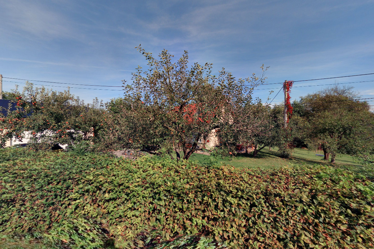 Ing. Eliška Milatová foto 1