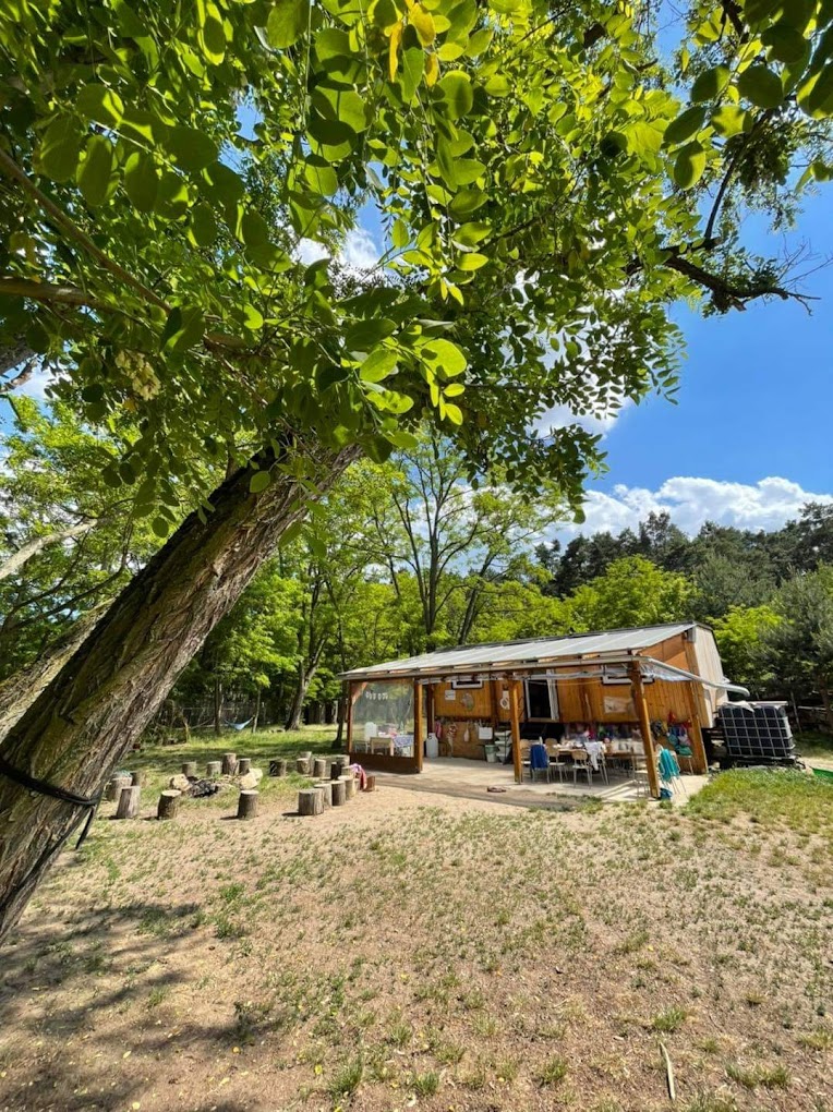 Lesní mateřská škola Petrklíč foto 1