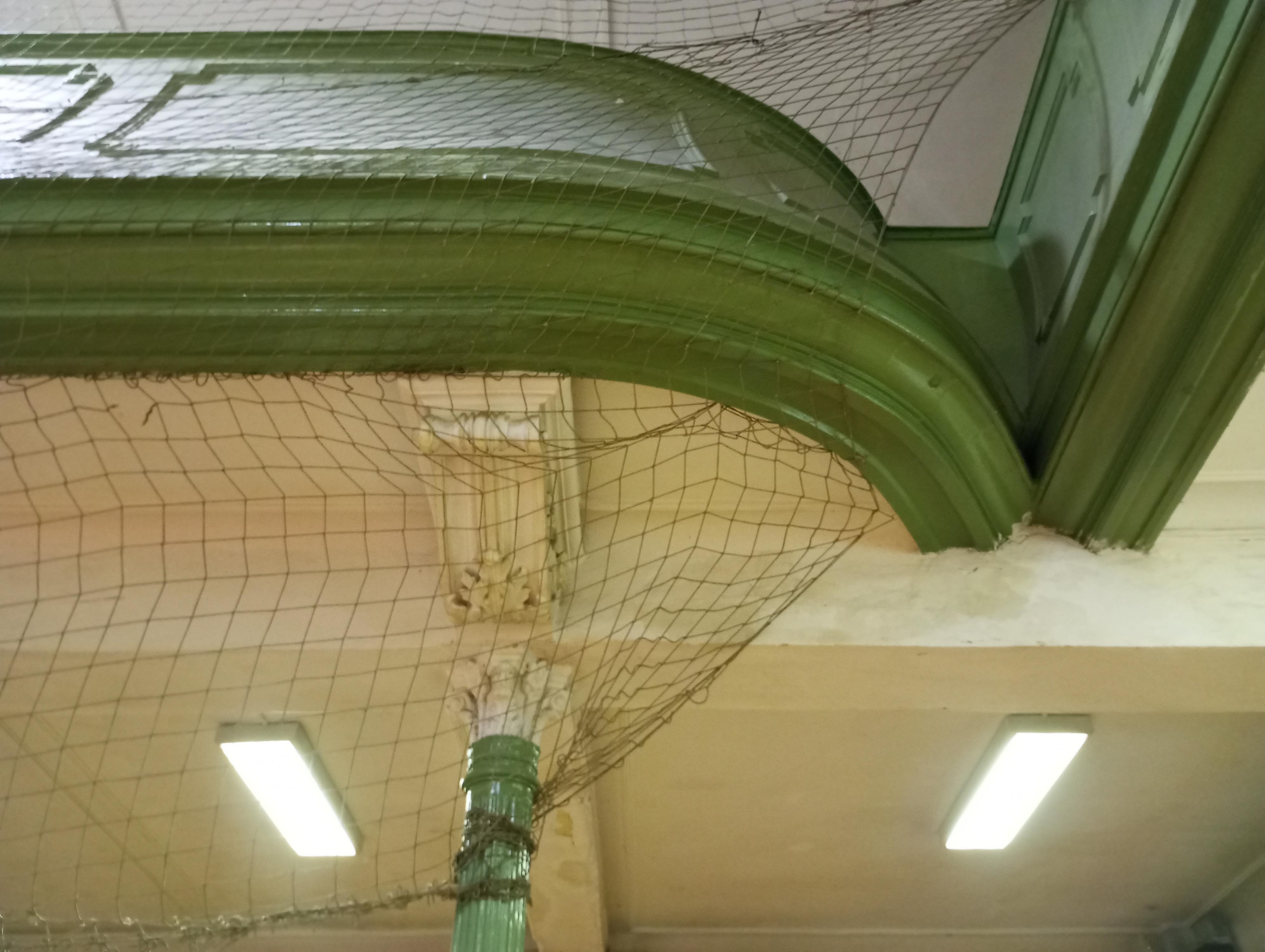 Tělocvičná jednota Sokol Ústí nad Labem foto 3