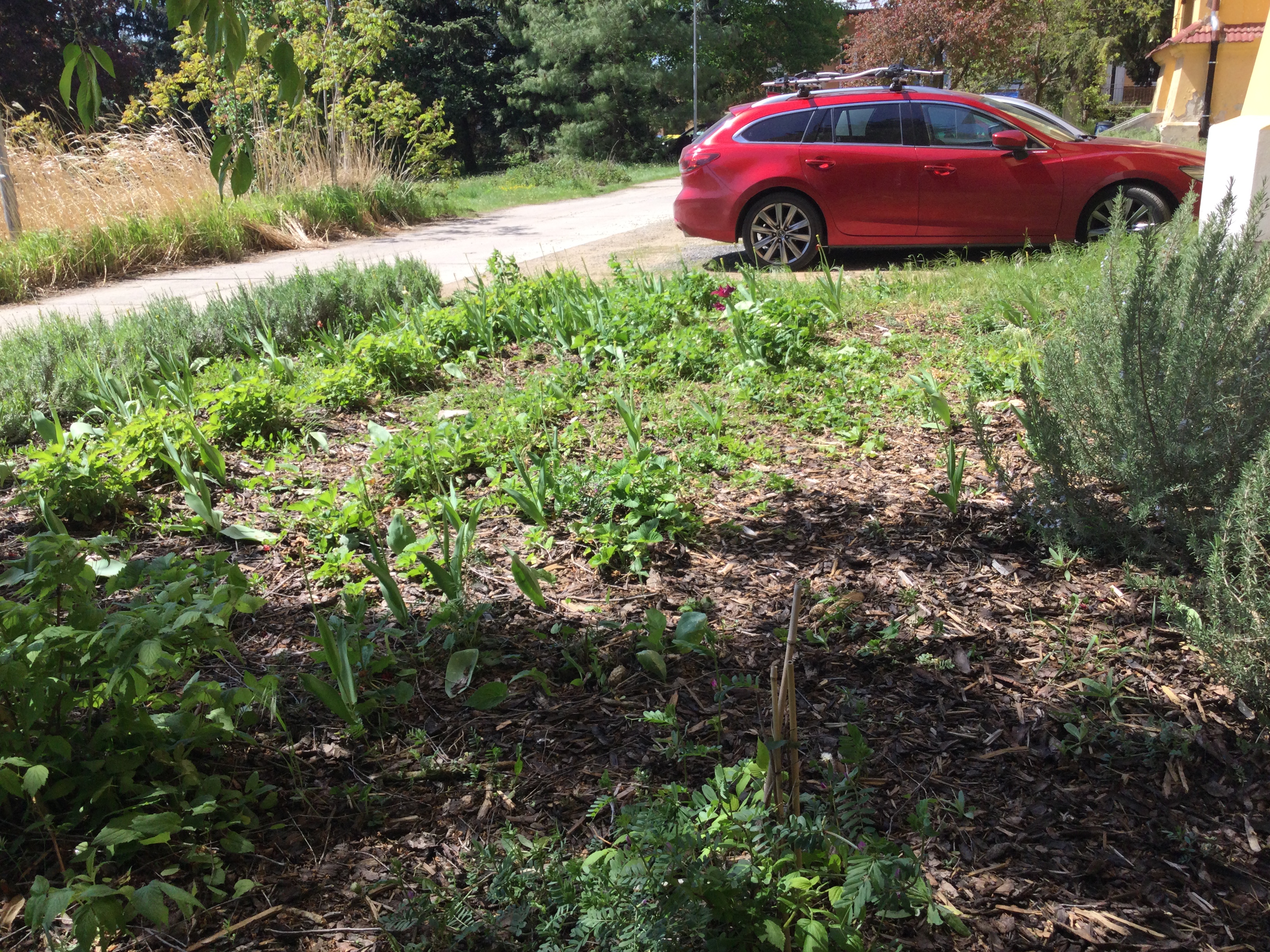 Základní škola Five Star Montessori, s.r.o. foto 3