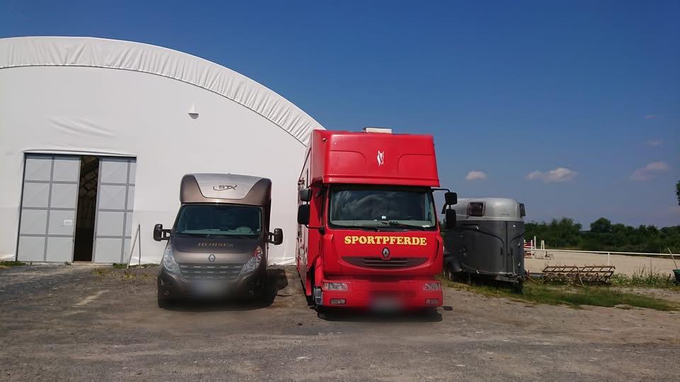 EQUINE-TRANSPORT foto 2